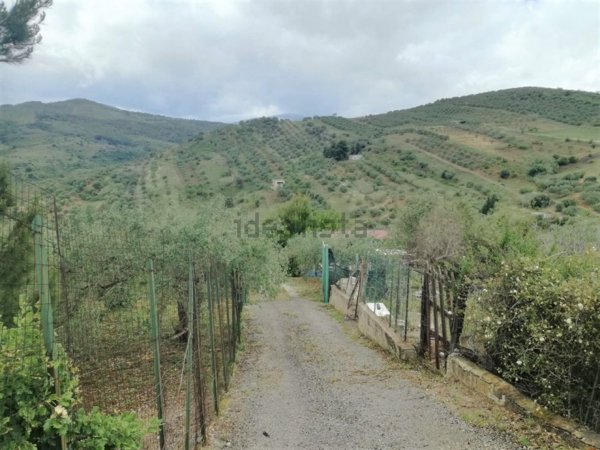 terreno agricolo in vendita a Casteldaccia