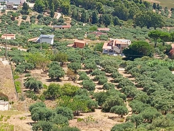 terreno agricolo in vendita a Casteldaccia