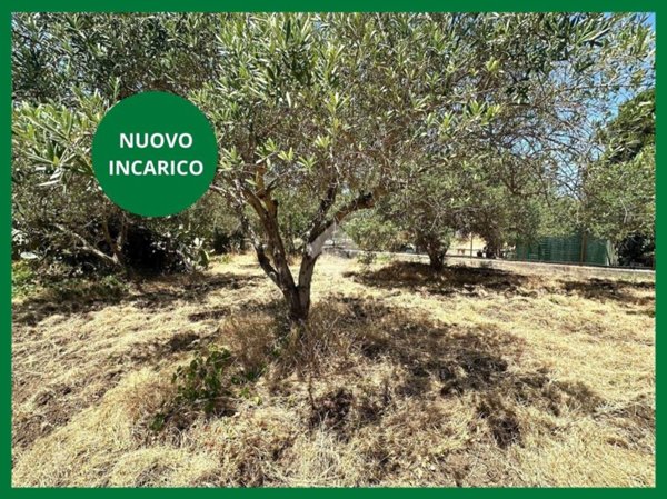 terreno agricolo in vendita a Casteldaccia