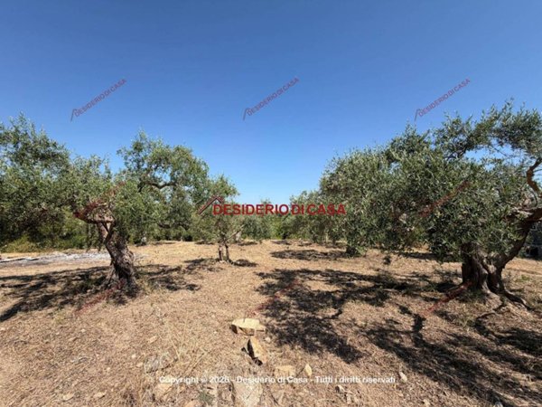 terreno agricolo in vendita a Casteldaccia
