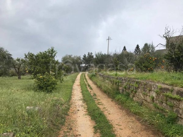 terreno agricolo in vendita a Casteldaccia