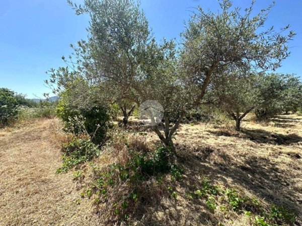 terreno agricolo in vendita a Casteldaccia