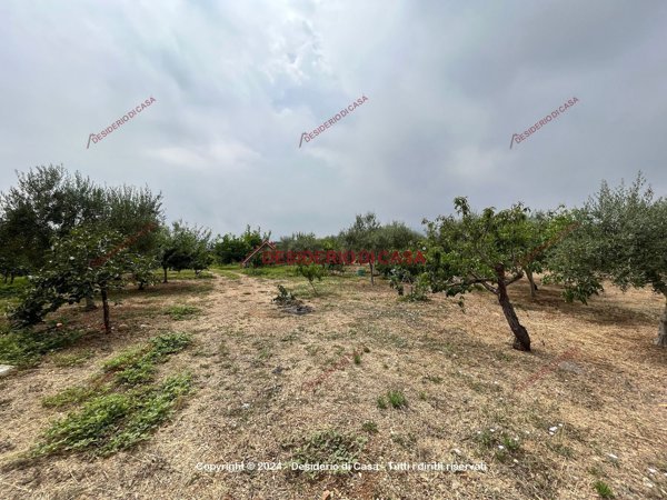 terreno in vendita a Casteldaccia