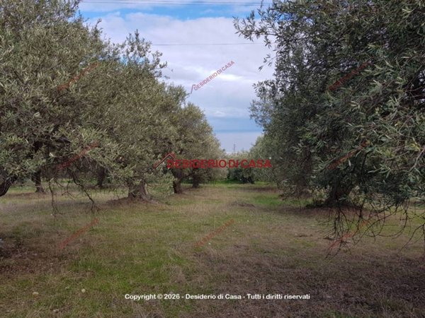 terreno in vendita a Casteldaccia