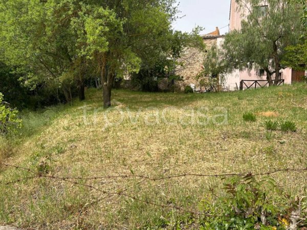 terreno agricolo in vendita a Castellana Sicula