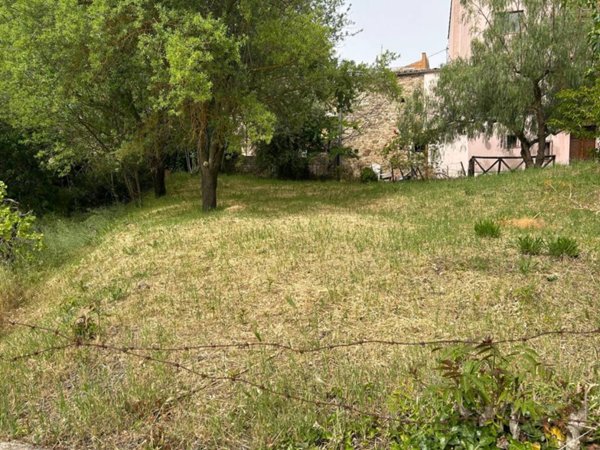 terreno agricolo in vendita a Castellana Sicula
