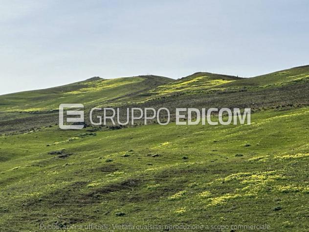 terreno agricolo in vendita a Castronovo di Sicilia