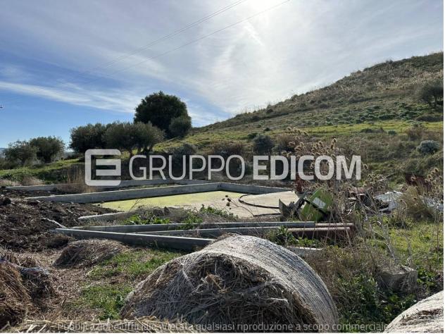terreno agricolo in vendita a Castronovo di Sicilia