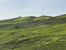 ufficio in vendita a Castronovo di Sicilia