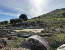 casa indipendente in vendita a Castronovo di Sicilia