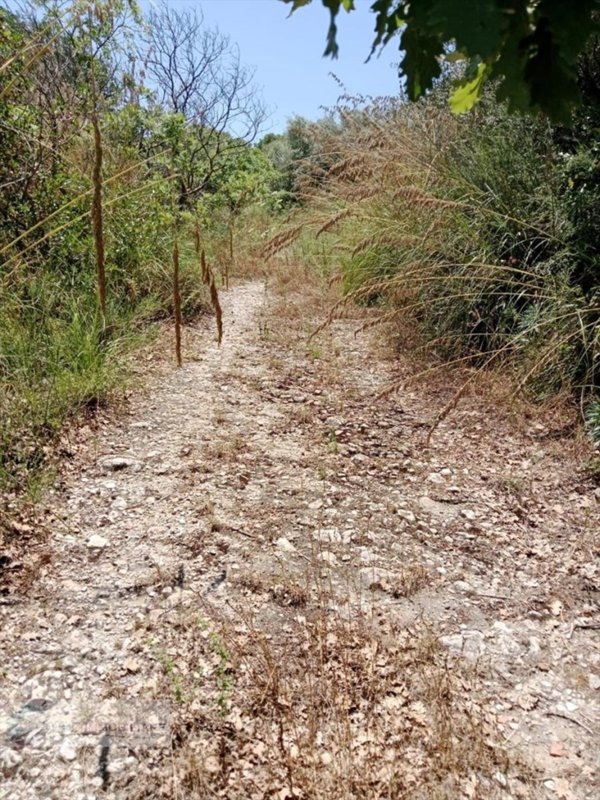 casa indipendente in vendita a Castronovo di Sicilia