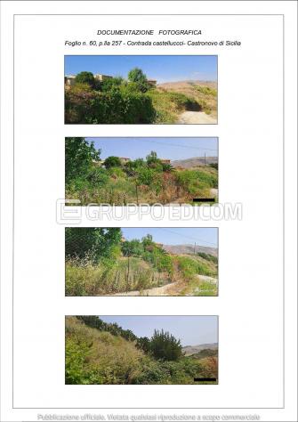 terreno agricolo in vendita a Castronovo di Sicilia