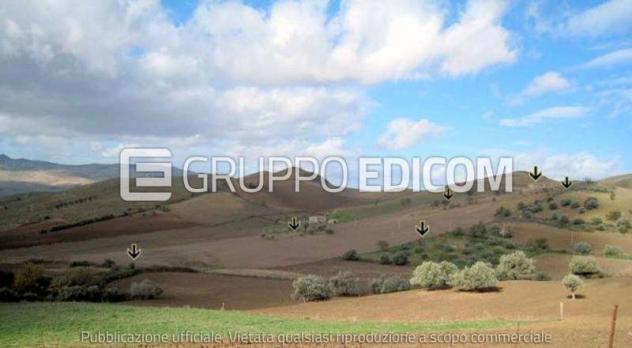 terreno agricolo in vendita a Castronovo di Sicilia