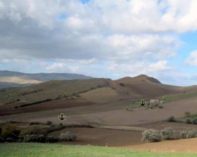 terreno agricolo in vendita a Castronovo di Sicilia