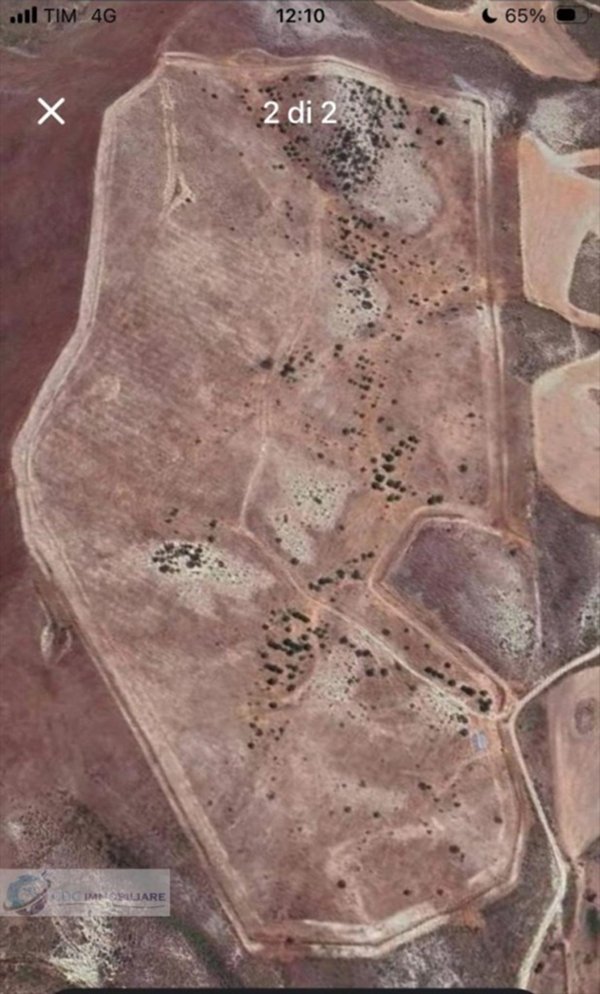 terreno agricolo in vendita a Castronovo di Sicilia