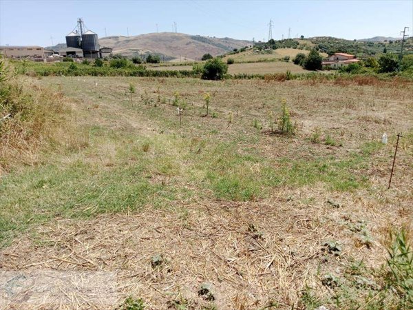 casa indipendente in vendita a Castronovo di Sicilia