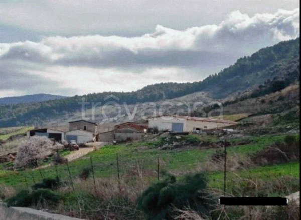 terreno edificabile in vendita a Castronovo di Sicilia