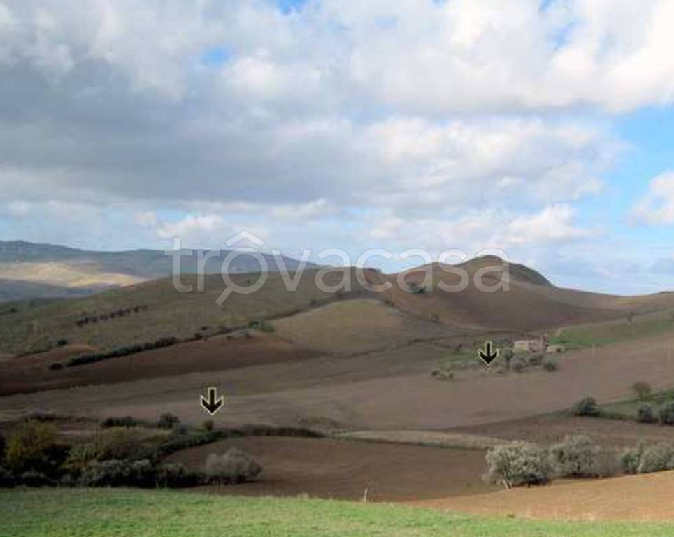 terreno agricolo in vendita a Castronovo di Sicilia