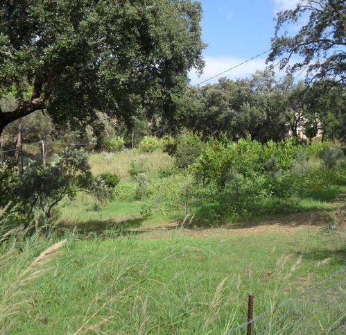 terreno agricolo in vendita a Cefalù