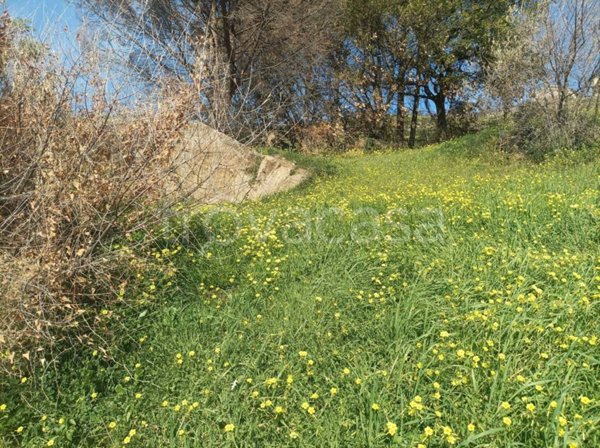 terreno agricolo in vendita a Cefalù
