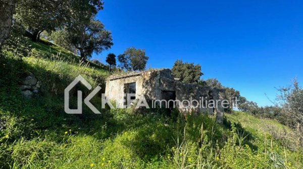 terreno agricolo in vendita a Cefalù