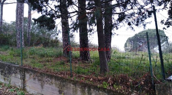 terreno agricolo in vendita a Cefalù