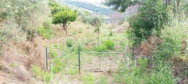 terreno agricolo in vendita a Cefalù