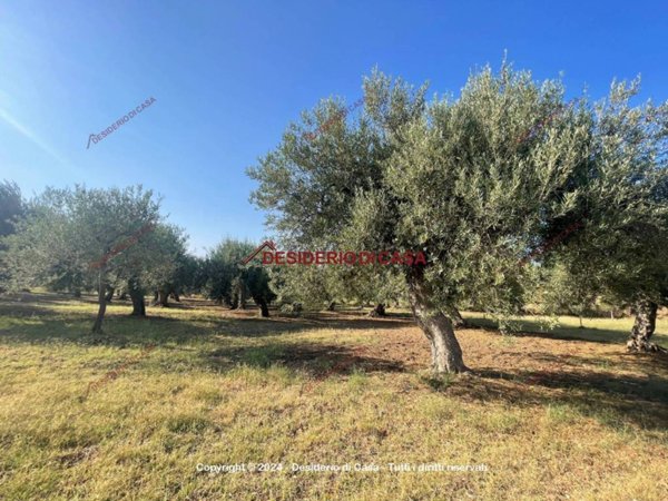 terreno agricolo in vendita a Cefalù