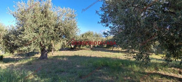 terreno agricolo in vendita a Cefalù
