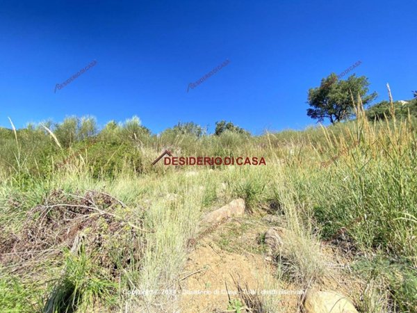 terreno agricolo in vendita a Cefalù