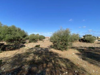 terreno agricolo in vendita a Cefalù