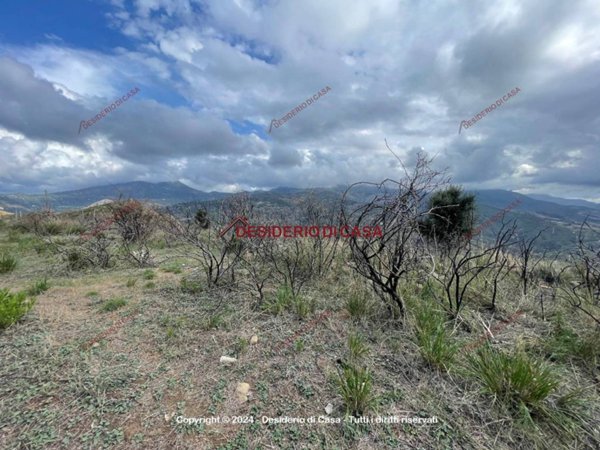 terreno agricolo in vendita a Cefalù