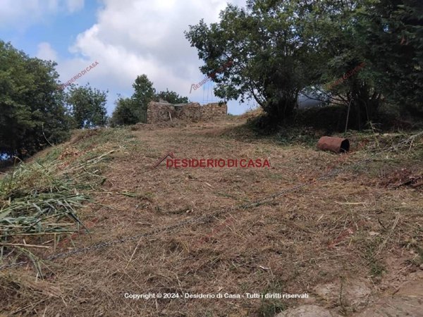 terreno agricolo in vendita a Cefalù