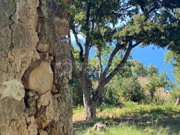 terreno agricolo in vendita a Cefalù in zona Sant'Ambrogio
