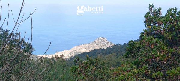 terreno agricolo in vendita a Cefalù