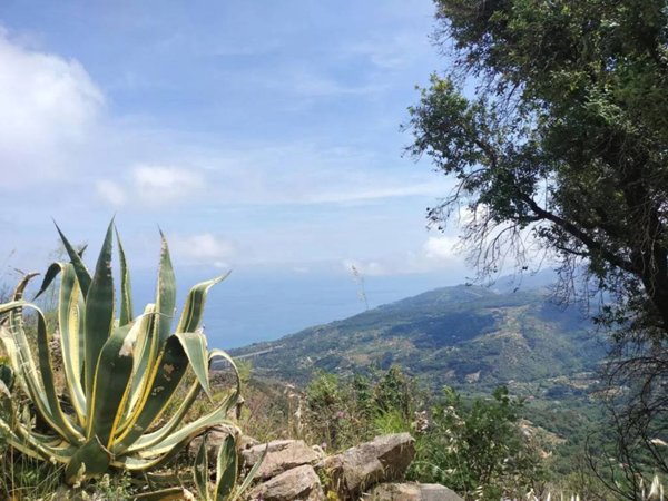 casa indipendente in vendita a Cefalù in zona Gibilmanna