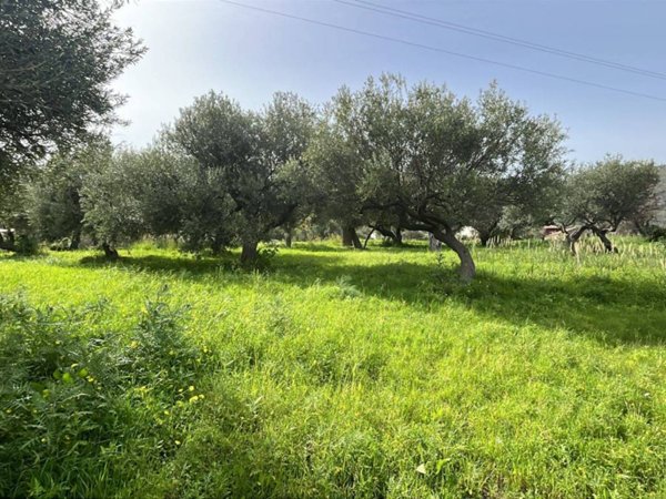 terreno agricolo in vendita a Cefalù