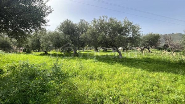 terreno agricolo in vendita a Cefalù