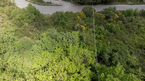 terreno agricolo in vendita a Cefalù in zona Gibilmanna