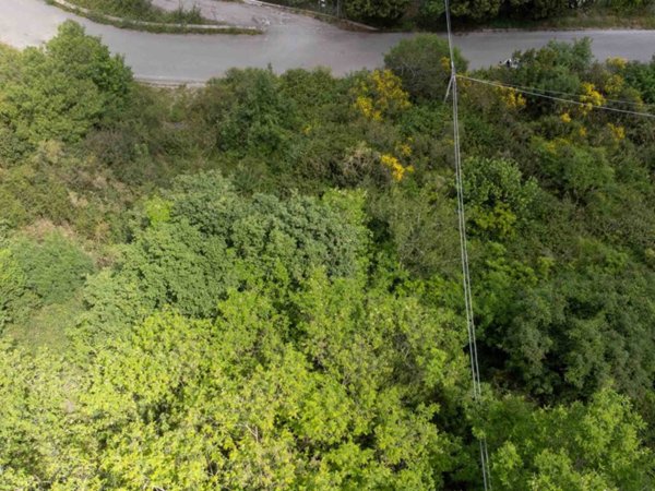 terreno agricolo in vendita a Cefalù in zona Gibilmanna