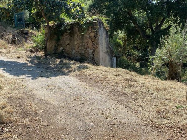 terreno agricolo in vendita a Cefalù in zona Sant'Ambrogio
