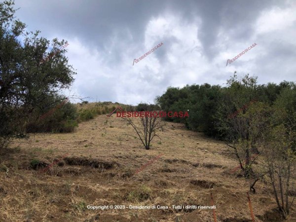 terreno agricolo in vendita a Cefalù