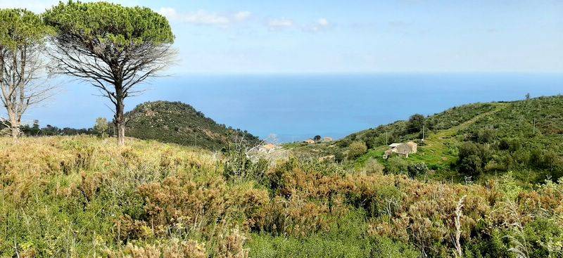 terreno agricolo in vendita a Cefalù