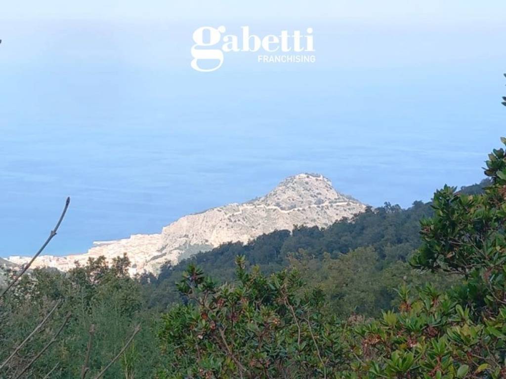 terreno agricolo in vendita a Cefalù