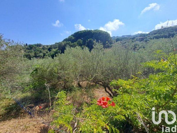casa indipendente in vendita a Cefalù