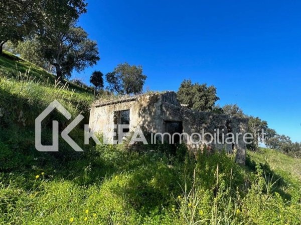 terreno agricolo in vendita a Cefalù
