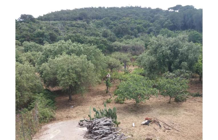 casa indipendente in vendita a Cefalù in zona Sant'Ambrogio