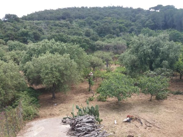 casa indipendente in vendita a Cefalù in zona Sant'Ambrogio