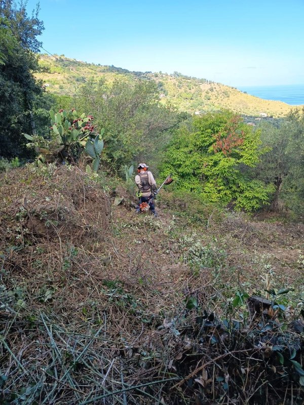terreno agricolo in vendita a Cefalù