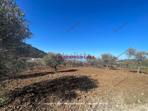 terreno agricolo in vendita a Cefalù